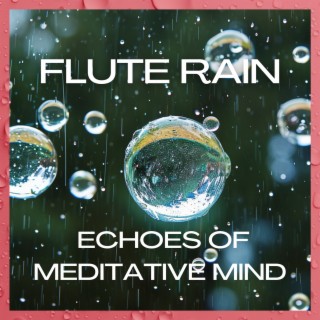 Flute Rain: Echoes of Meditative Mind