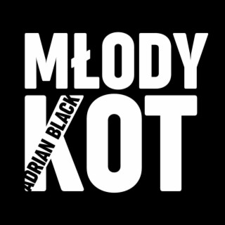 MŁODY KOT