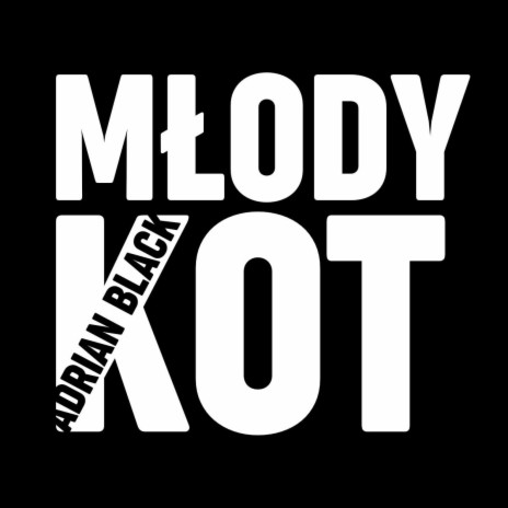 MŁODY KOT