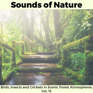 Sounds of Nature - Birds, Insects and Crickets in Scenic Forest Atmospheres, Vol. 15