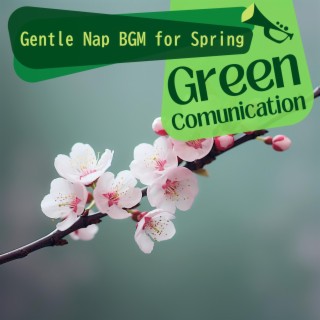 Gentle Nap Bgm for Spring