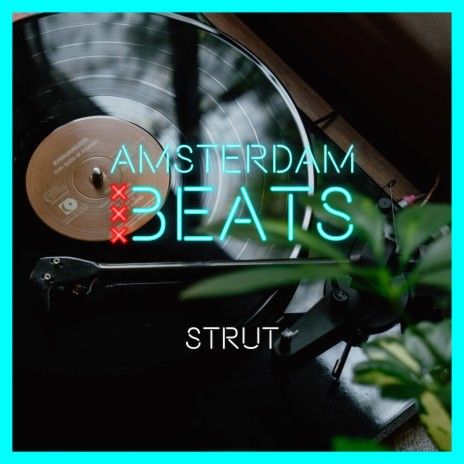 Strut | Boomplay Music