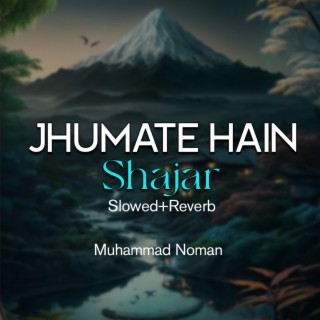 Jhumate Hain Shajar Lofi