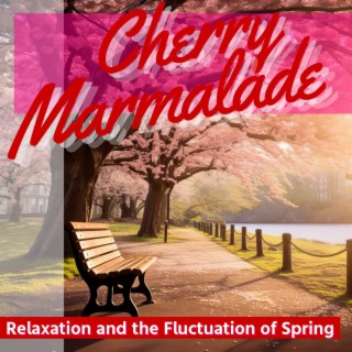 Relaxation and the Fluctuation of Spring