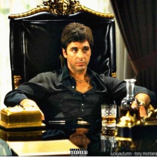 tony montana