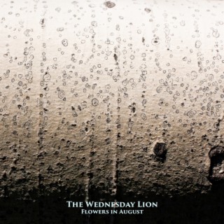 The Wednesday Lion