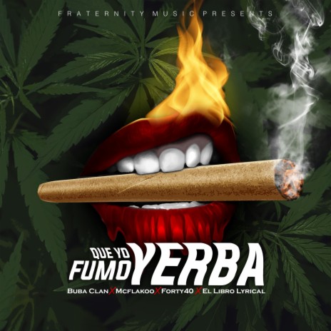 Que Yo Fumo Yerba ft. McFlakoo, Forty40 & El Libro Lyrical | Boomplay Music