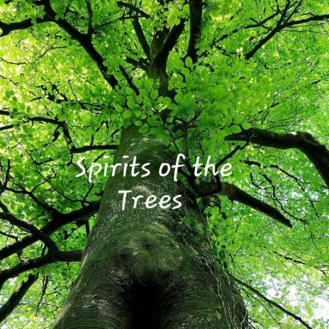 Spirits of the Trees | Boomplay Music