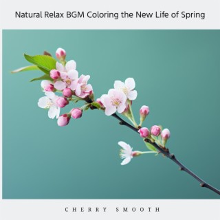 Natural Relax Bgm Coloring the New Life of Spring