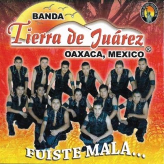 Banda Tierra de Juarez