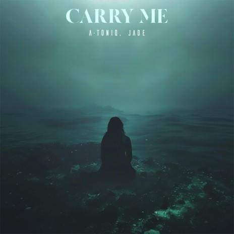 Carry Me | Boomplay Music