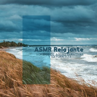 ASMR Relajante: Sonidos de Aguas Curativas y Naturaleza