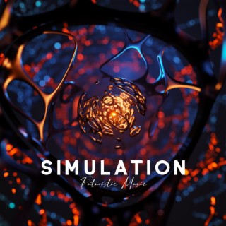 Simulation