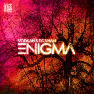 Enigma