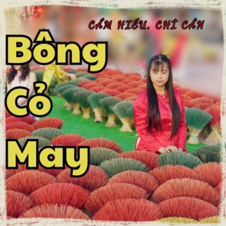 Bông Cỏ May