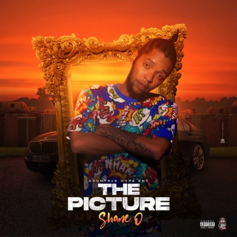 The Picture ft. Shane O | Boomplay Music