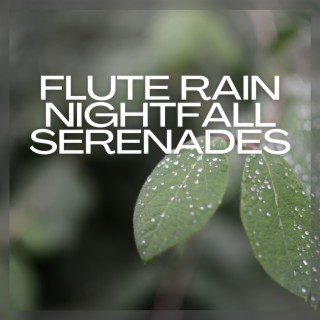 Flute Rain: Nightfall Serenades