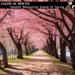 Smooth Relaxation Sound of Spring
