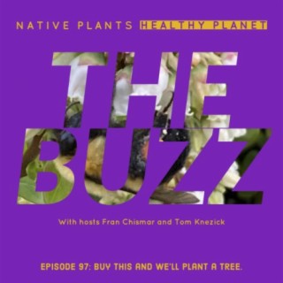 The Buzz - Buy This And We’ll Plant A Tree