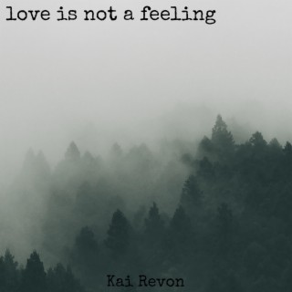 Love is not a feeling