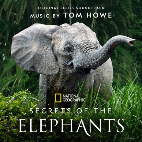 Desert Mud Baths (From "Secrets of the Elephants"/Score) | Boomplay Music