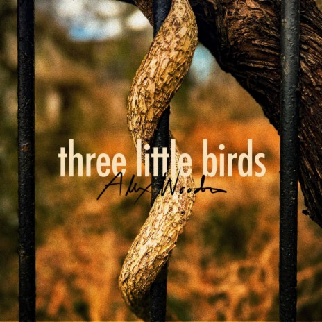 Three Little Birds | Boomplay Music