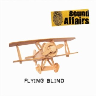 Flying Blind