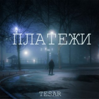 Платежи