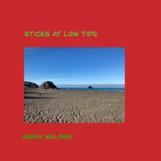 sticks at low tide