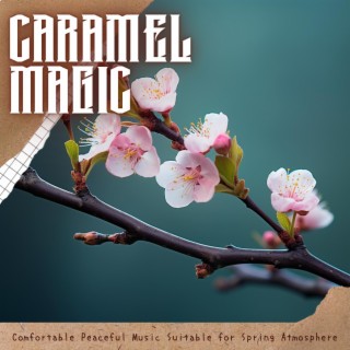 Comfortable Peaceful Music Suitable for Spring Atmosphere