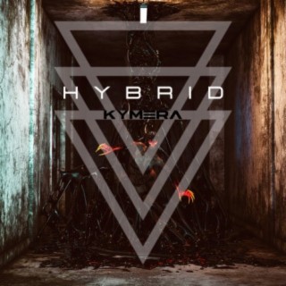 HYBRID