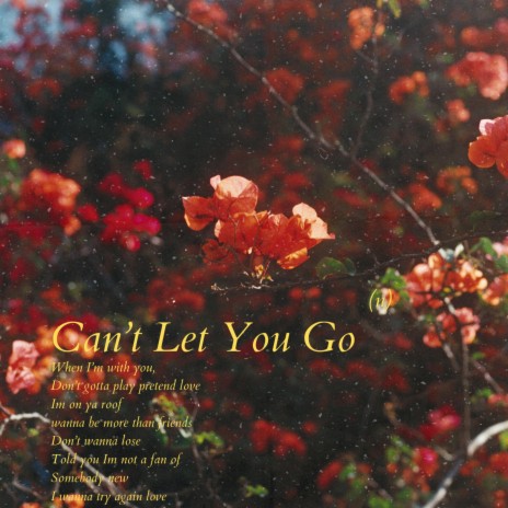 Can't Let You Go (Acoustic) | Boomplay Music