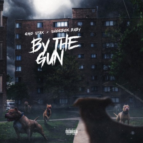 By The Gun ft. Shoebox Baby | Boomplay Music