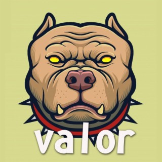 VALOR