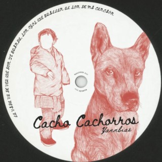 Cacho Cachorros