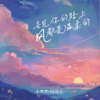 去见你的路上风都是温柔的 ft. 瑞达 lyrics | Boomplay Music