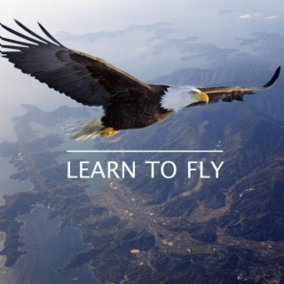 Learn to Fly lyrics | Boomplay Music