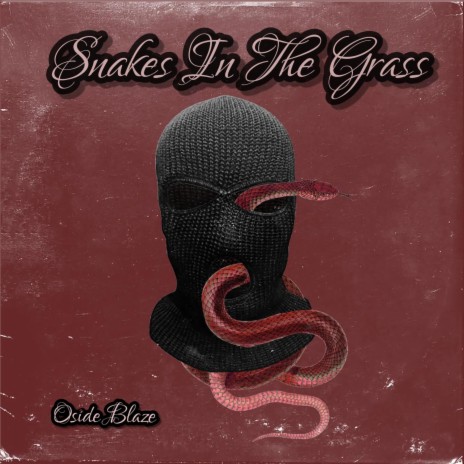 Snakes In The Grass | Boomplay Music