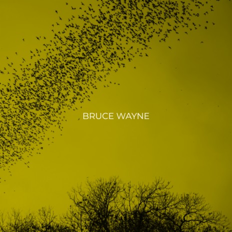 Bruce Wayne | Boomplay Music