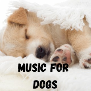 Music For Dogs (Vol.164)