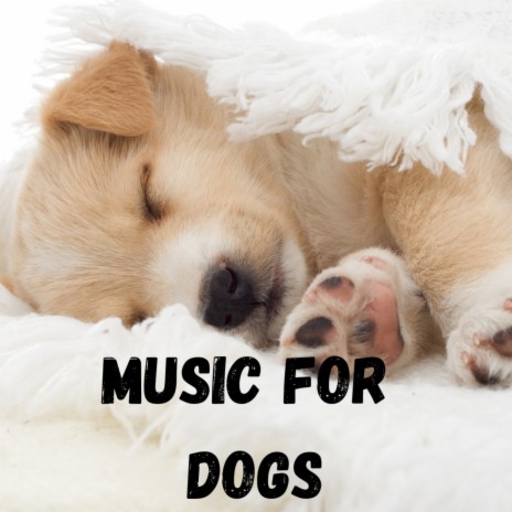 Chill My Dog ft. Relaxing Puppy Music, Music For Dogs & Music For Dogs Peace