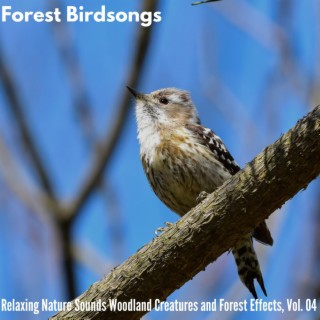 Forest Birdsongs - Relaxing Nature Sounds Woodland Creatures and Forest Effects, Vol. 04