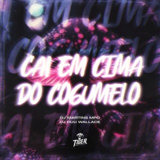 Cai em cima do cogumelo