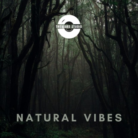 Natural Vibes | Boomplay Music