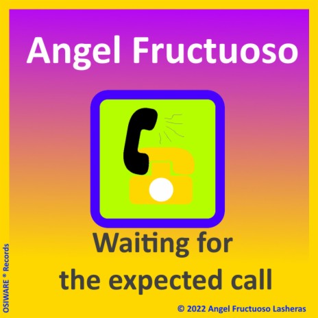 Waiting for the expected call