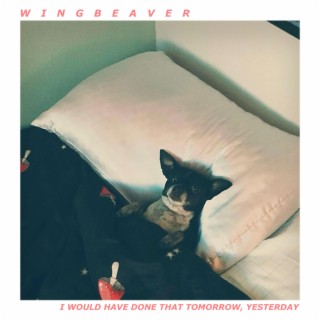 WingBeaver