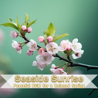 Peaceful Bgm for a Relaxed Spring