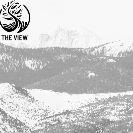 The View | Boomplay Music