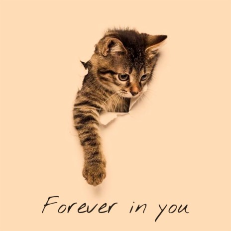 Forever in You ft. Relajacion | Boomplay Music