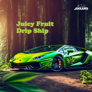 Juicy Fruit Drip Ship